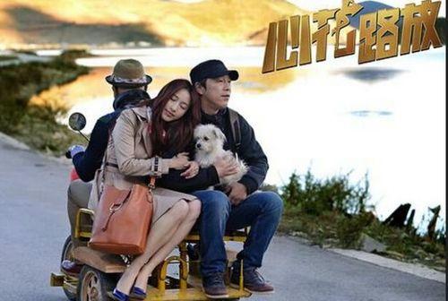 心花路放手机观看免费,笑中带泪的治愈之旅