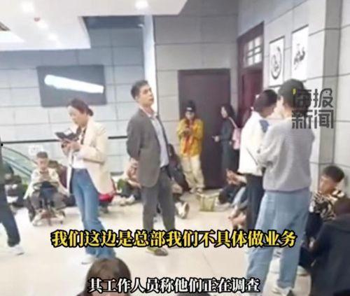 爆料香港旅游团视频,揭秘真实旅游现状与游客心声