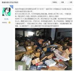 最近圆通快递的最新爆料,揭秘行业变革背后的故事