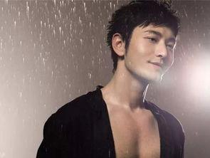 大明星的秘密,揭秘大明星背后的不为人知秘密