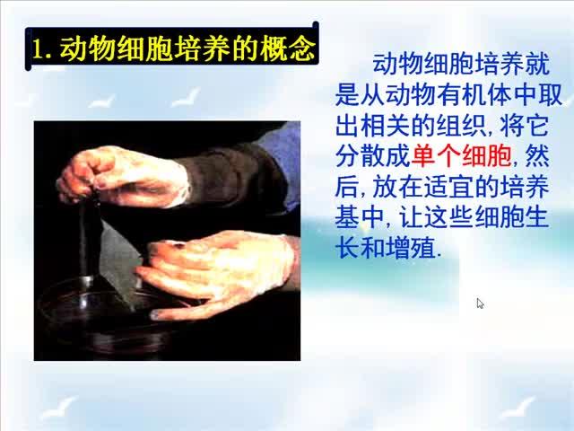 高2生物视频,高二生物视频深度解析