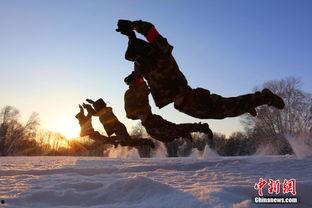 武警擒拿格斗实战视频,武警擒拿格斗技巧与策略深度剖析