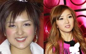 变身娱乐明星,变身娱乐明星的璀璨之路