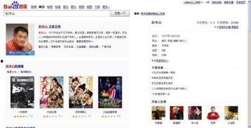 像明星的网站,打造璀璨星光下的网络家园