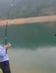 钓鱼技术视频教程全集,视频教程全集精华汇总