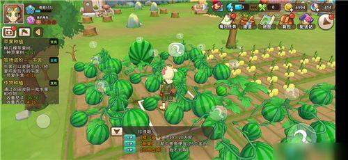 刀锋西瓜免费观看,揭秘热门影视的免费观影之道