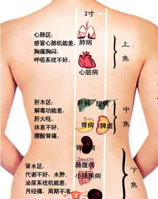 背部刮痧视频教程,轻松掌握养生保健新技能