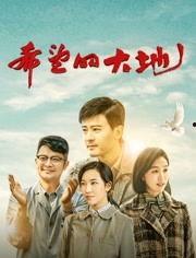 姜妍希望的大地丝袜,丝袜映衬下的优雅风采